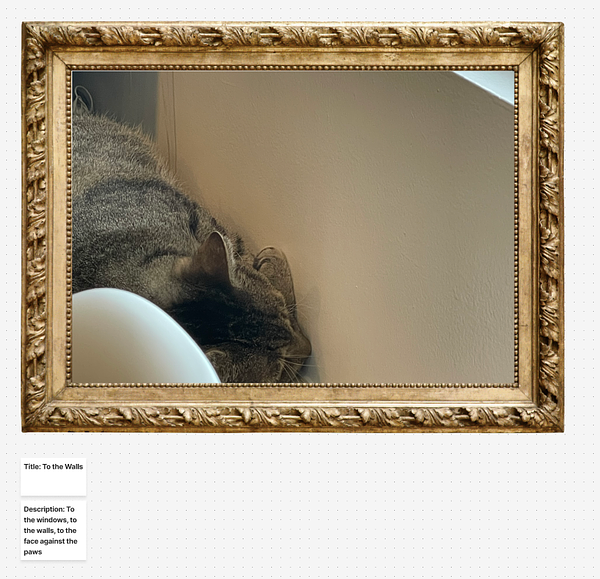 Title: To the Walls Description: To the windows, to the walls, to the face against the paws